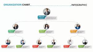 team organization chart powerpoint