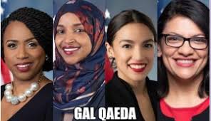 Image result for the squad congress
