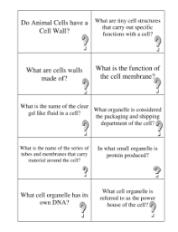 Do Animal Cells Have A Cell Wall What Are Cells Walls Made Of