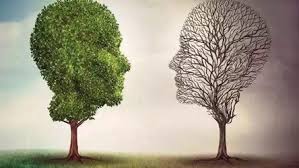 瑞士日内瓦大学研究表明：管理好负面情绪可限制神经退化 防止病理性衰老