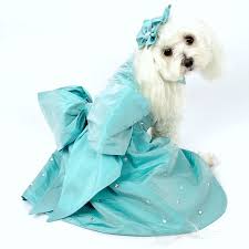 Blue Dog Dress Tiffanee Dogs Wedding