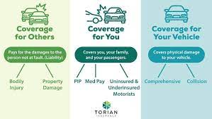Torian Insurance gambar png