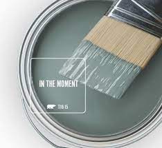 in the moment behr paint color overview