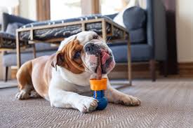 Dogs love the meaty flavor of bully sticks, and their chewy texture keeps pups occupied for hours. 6 Bully Stick Holders Reviewed A Safer Way To Give Your Dog Bully Sticks