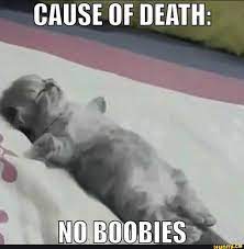 CAUSE OF DEATH: NO BOOBIES - iFunny Brazil