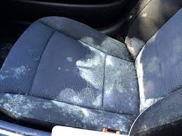 how to get mold out of car seats and