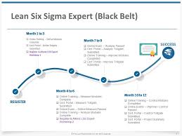Lean Six Sigma Expert Black Belt