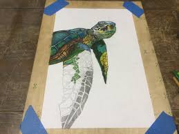 sea turtle drawing print bogus jim