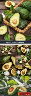 Affordable and search from millions of royalty free images, photos and vectors. Avocado With Salt And Lemon For Healthy Food Free Download Photoshop Vector Stock Image Via Zippyshare Torrent From All Source In The World