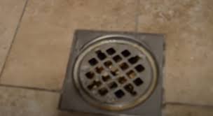 How To Fix A Smelly Drain 2023