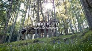living room treehouse experience