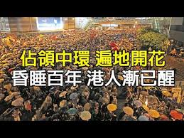 Image result for 香港雨傘革命