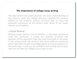 Short Argumentative Essay Examples For High School Example Of Good