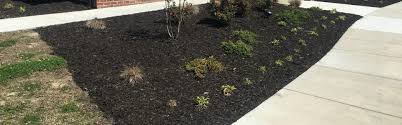 Chesapeake Va Landscaping And Lawn