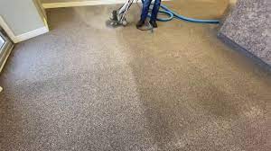 professional carpet cleaning idaho