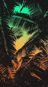 tree tropical hd phone wallpaper peakpx