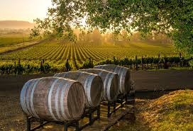 what s a winery worth veristrat inc