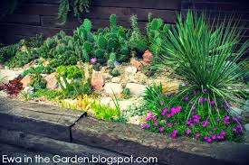 Impossible Cactus Gardening Outdoor