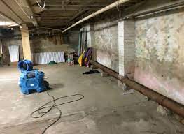 basement water removal east point