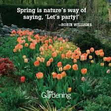 The riches of this world are vain, they vanish in a day; Ten Of The Best Spring Quotes Finegardening