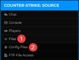 counter strike source server