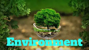 Our online environment trivia quizzes can be adapted to suit your requirements for taking some of the top environment quizzes. 110 Plus Top Environmental Questions And Answers Pdf For Quiz