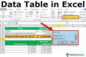data table in excel exles types
