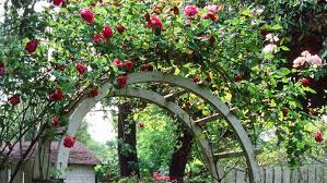 How To Create Your Own Rose Arbor Entry