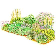 Soft Color Shade Garden Plan Small