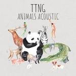 Animals Acoustic