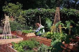 vegetable gardens for los angeles