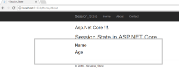how to use sessions in asp net core