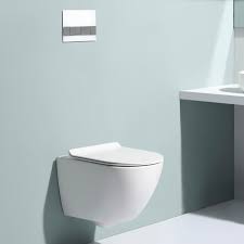 Water Closet Floating Toilet Suppliers