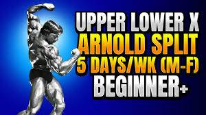 arnold split 5 day m f workout plan