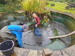 Pond Cleaning And Maintenance Ygp