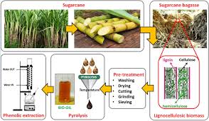 bio oil from sugarcane bage