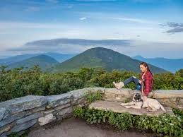 asheville hiking trails guides