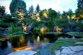 Led Underwater Pond Water Feature Lighting Services Rochester Ny Acorn Ponds Waterfalls