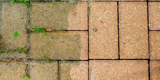 A Guide To Cleaning Patio Pavers