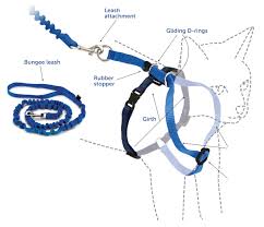 Come With Me Kitty Harness And Bungee Leash By Petsafe Grp