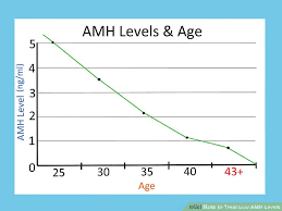 3 Ways To Treat Low Amh Levels Wikihow