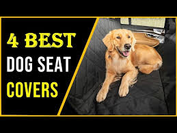Best Dog Seat Covers 2023 Top 4 Best