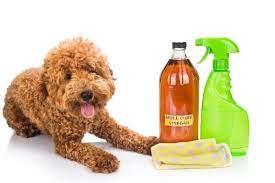 is vinegar safe for dogs when used for
