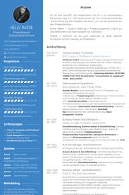 Sr Technical Business Analyst Resume Template