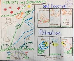 Unit Biodiversity And Ecosystem The Wonder Of Science