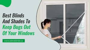 Best Blinds And Shades To Keep Bugs Out