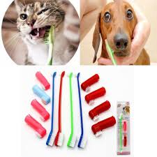 He'll swish it around with his tongue. 1 Set Pet Cat Dog Toothbrush Finger Brush Dental Care For Pet Teeth Cleaning 2au3 Dog Teeth Teeth Care Dental