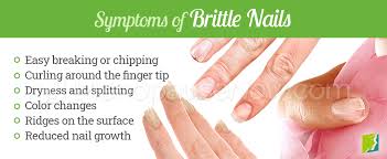brittle nails symptom information
