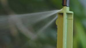 Ways To Irrigate Container Grown