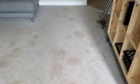 duluth carpet cleaning deals in and
